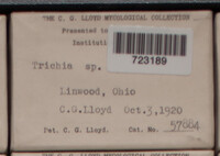 Image Associated With the Occurence